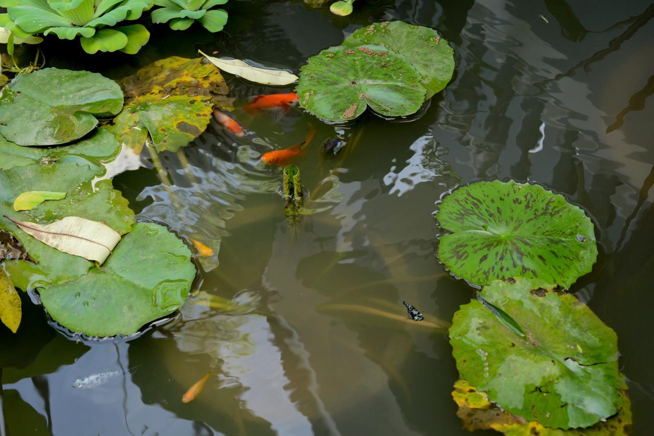The Villa Secret Garden Siem Reap Ngoại thất bức ảnh